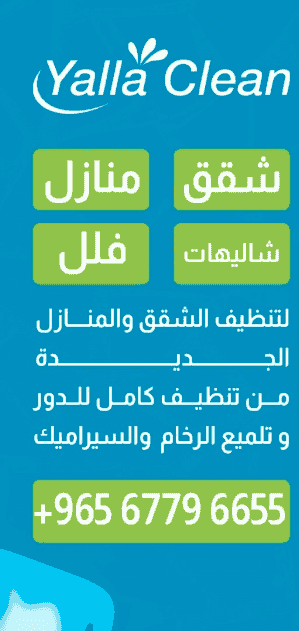 House cleaning service  House cleaning service
